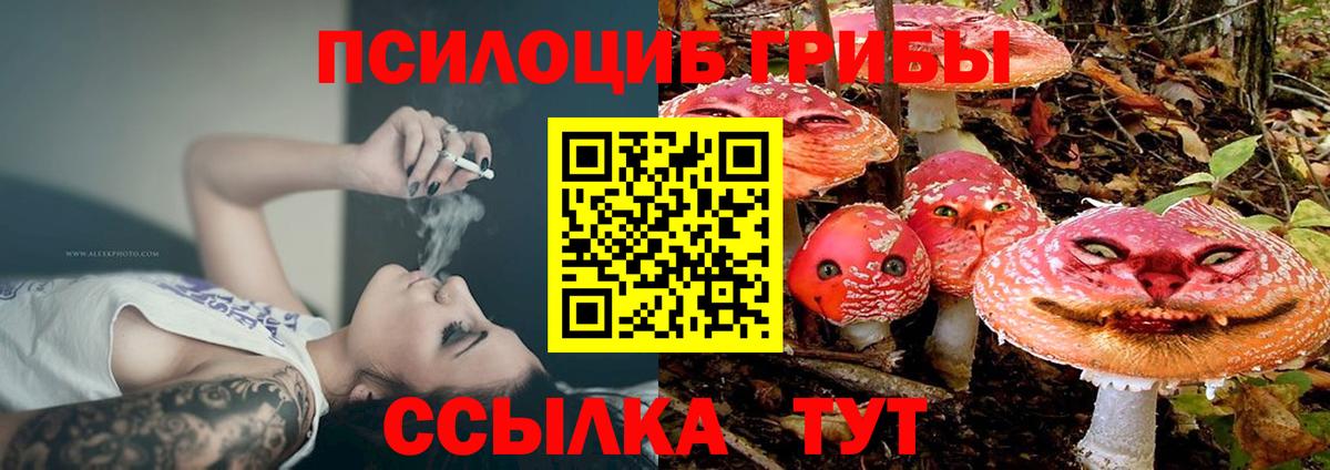 Псилоцибиновые грибы мухоморы Бузулук