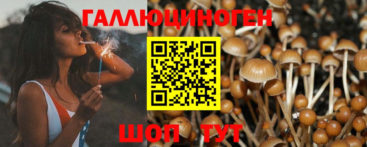 Галлюциногенные грибы мицелий  Вход с VPN  Галлюциногенные грибы ЛСД  Бузулук 
